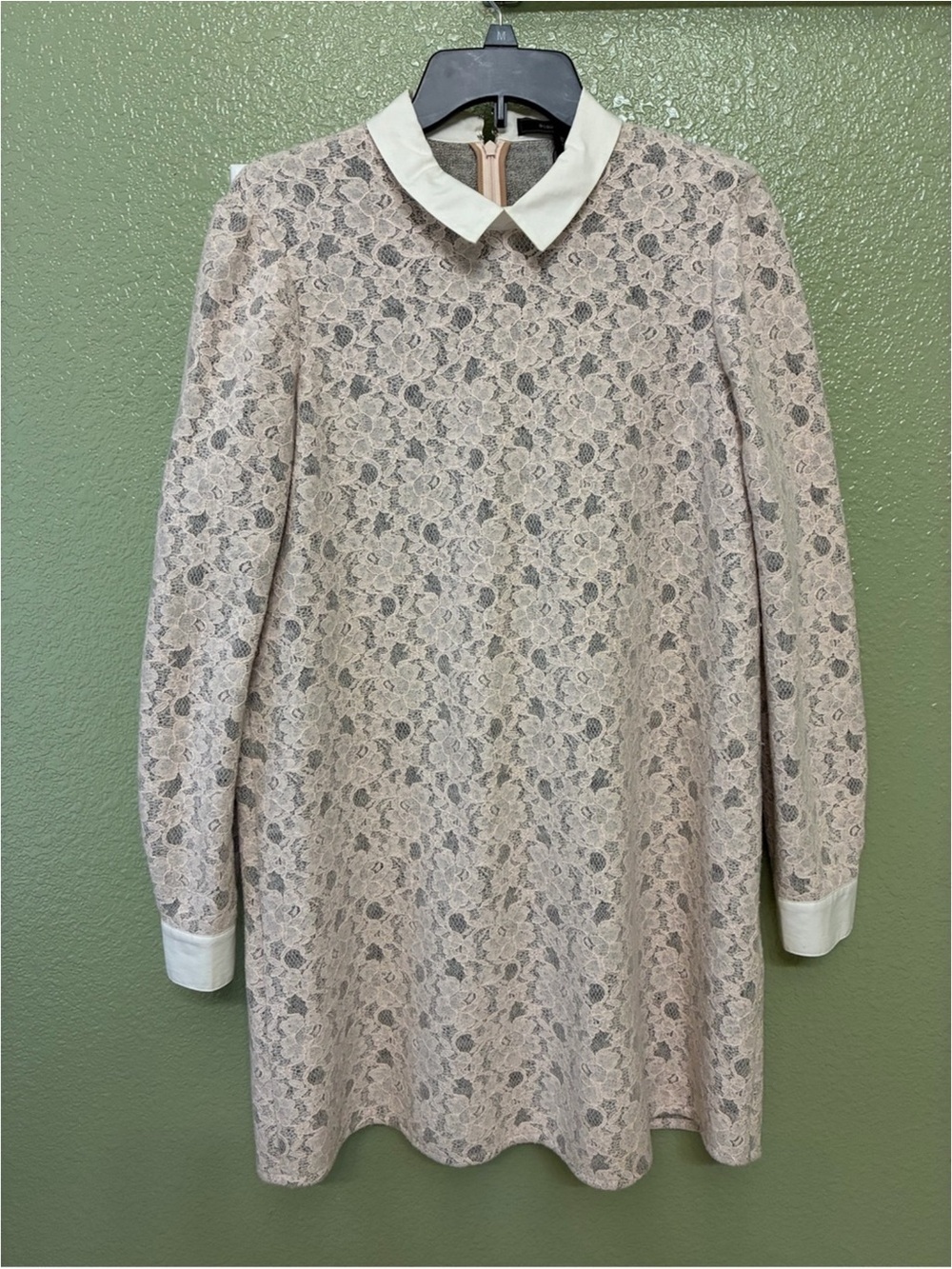 BCBGMaxAzria Blush Pink Lace Long Sleeve Dress with White Collar